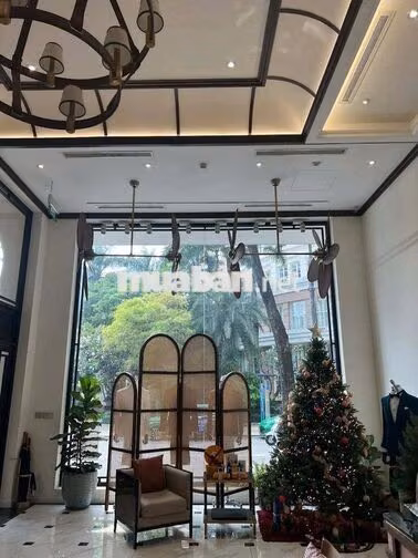 🔥 MẶT TIỀN NGANG 8M HAI BÀ TRƯNG, QUẬN 1 – NHÀ 3 TẦNG! ✨