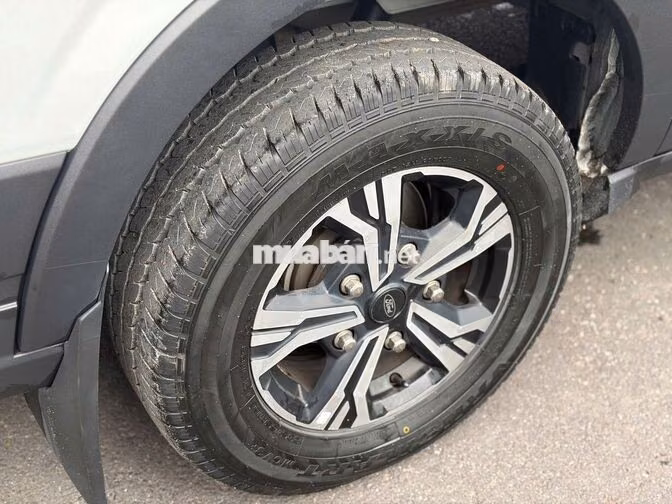 Ford Transit Premium 2024 màu trắng - 57000km