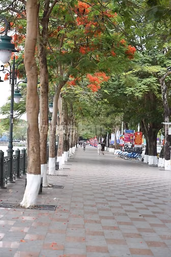 CĂN 3,5 TẦNG GẦN NGÃ 4 HOÀNG VĂN THỤ-ĐBP. NGÕ ĐẾN NHÀ 5M,CÓ CHỖ Ô-TÔ