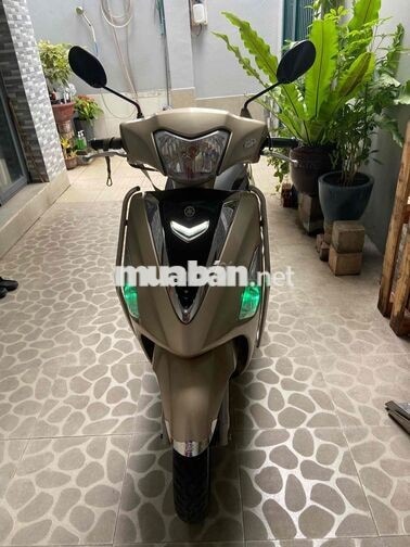 Yamaha Acruzo 125cc Vàng