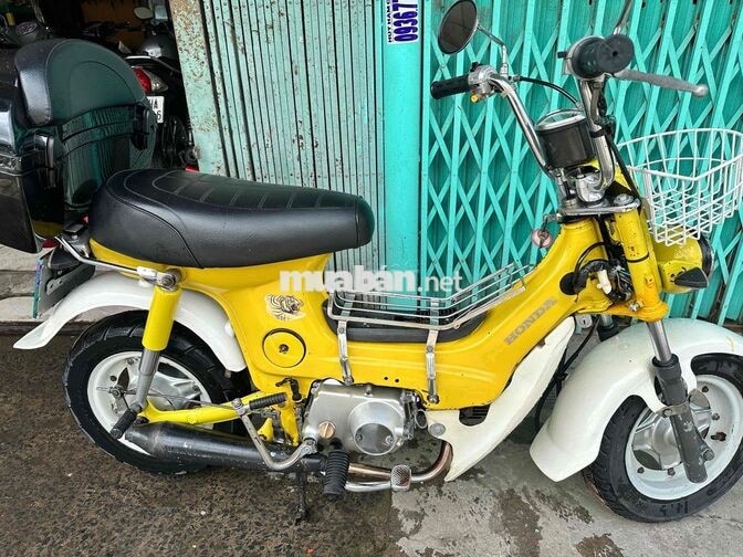 Honda Chaly 50cc dành cho hoc sinh bstp