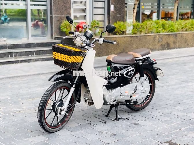 Cub Ally Đen Trắng Biển Hà Nội Bản Đặc Biệt