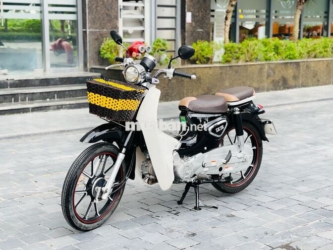 Cub Ally Đen Trắng Biển Hà Nội Bản Đặc Biệt