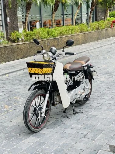 Cub Ally Đen Trắng Biển Hà Nội Bản Đặc Biệt
