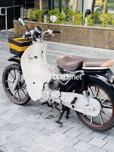 Cub Ally Đen Trắng Biển Hà Nội Bản Đặc Biệt