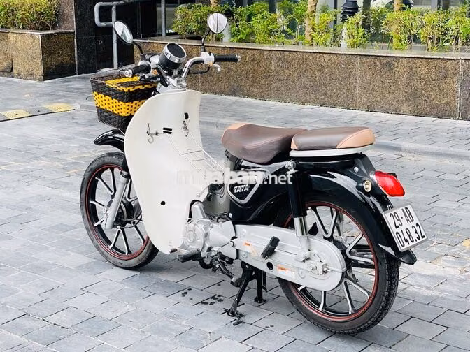 Cub Ally Đen Trắng Biển Hà Nội Bản Đặc Biệt