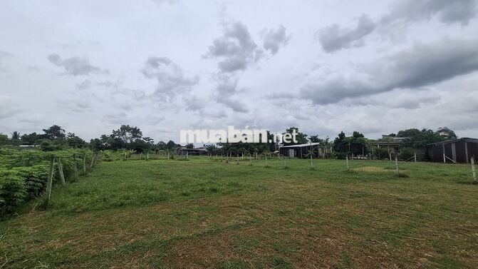 🌟 BÁN LÔ ĐẤT 325m² – GIÁ CHỈ NHỈNH 3TR/M2 – CỦ CHI, TP.HCM 🌟