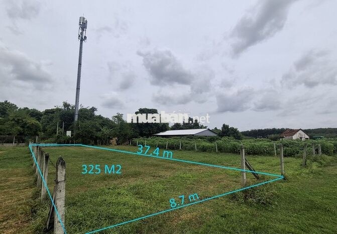 🌟 BÁN LÔ ĐẤT 325m² – GIÁ CHỈ NHỈNH 3TR/M2 – CỦ CHI, TP.HCM 🌟