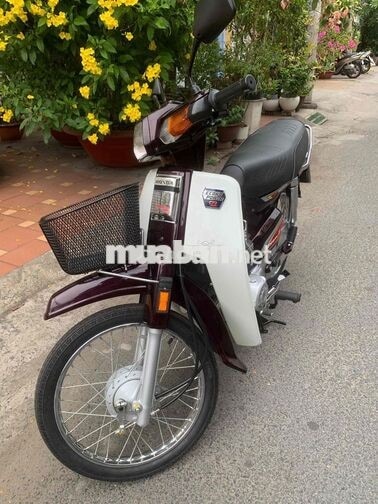 Honda Dream Thái Đỏ mận