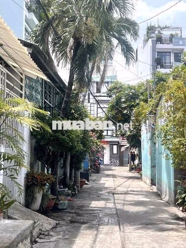 🌾Phú Thọ Hoà - Luỹ Bán Bích - Thoại Ngọc Hầu - Nguyễn Sơn  * DT: 4 x 1