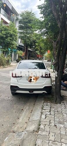 Mazda Mazda 2 Trắng