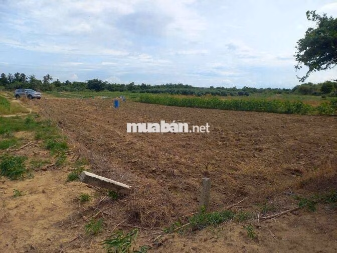 Rao bán 5.000 m đất nn giáp Sông Lũy - Bình Thuận cũ