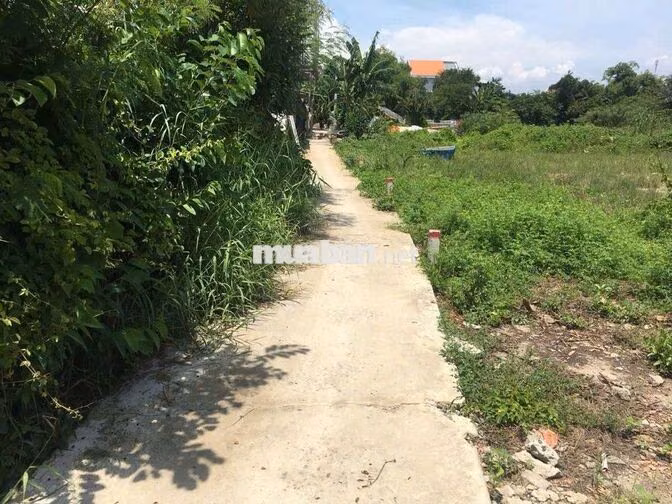 Cần Bán Gấp Đất Cần Giuộc trong 2 ngày