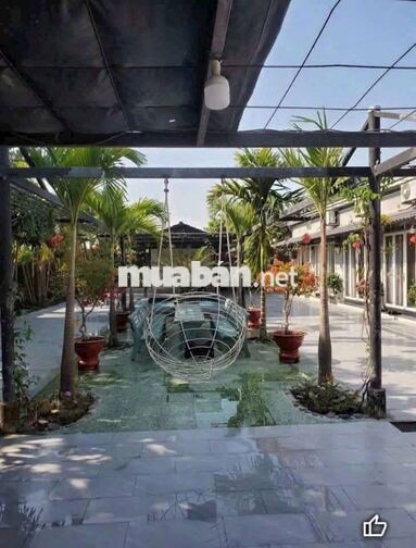 CHO THUÊ BIỆT THỰ 500M GIÁ 12TR
