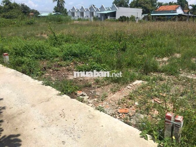 Cần Bán Gấp Đất Cần Giuộc trong 2 ngày