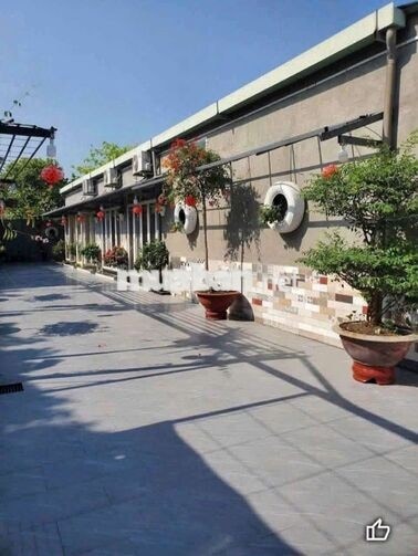 CHO THUÊ BIỆT THỰ 500M GIÁ 12TR
