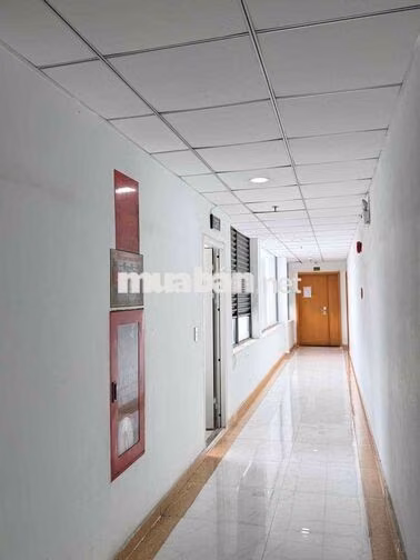 Nhỉnh 4 Tỷ - 65m - 2PN - Tầng Cao - Thang Máy - SHR - Chung Cư Tecco C