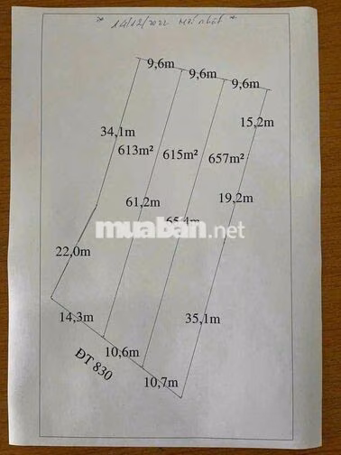 Đất thổ cư mặt tiền đường DT830 Cần Giuộc 857m