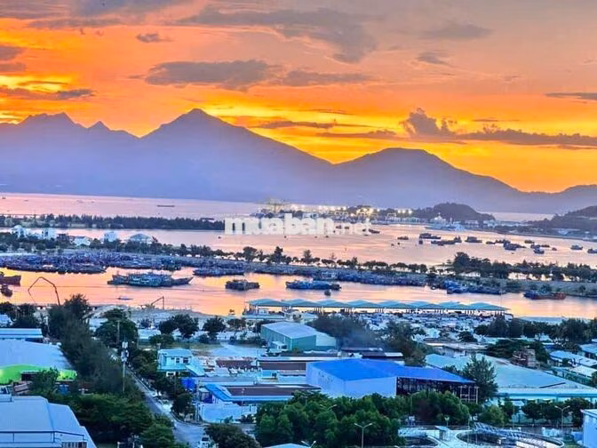 CHO THUÊ CĂN 1 PHÒNG NGỦ TẠI CHUNG CƯ SƠN TRÀ OCEAN VIEW 