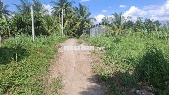 Bán nền có sẵn 84m² thổ cư cập vách khu tái định cư Cầu Rạch Miễu 2