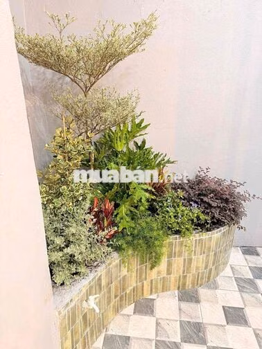 🔥 KÈO THƠM QUẬN 4 – NHÀ 2 TẤM MỚI ĐẸP – DT RỘNG 53M² – HẺM 1/ TÔN ĐẢN