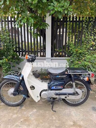 Honda Cup 86 Xanh, Trắng