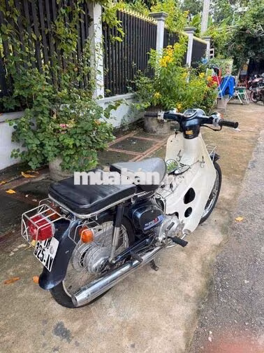 Honda Cup 86 Xanh, Trắng