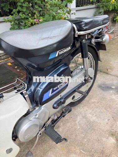 Honda Cup 86 Xanh, Trắng