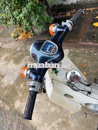 Honda Cup 86 Xanh, Trắng