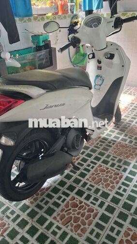 Yamaha Janus Trắng 4344 km