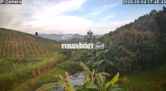 Chính chủ cần bán đất vườn tại Xã Bảo Lâm 5 (Lộc Bảo cũ)