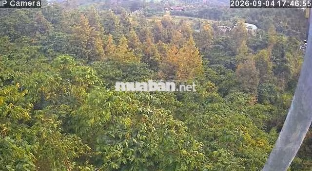 Chính chủ cần bán đất vườn tại Xã Bảo Lâm 5 (Lộc Bảo cũ)