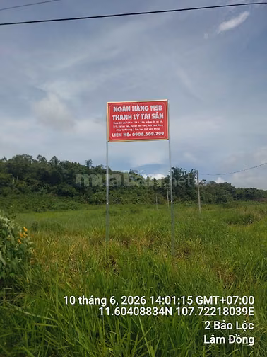 Công ty đấu giá hợp danh Sao Việt 