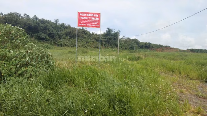 Công ty đấu giá hợp danh Sao Việt 