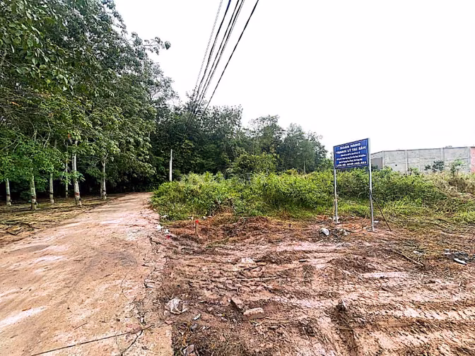 Công ty Đấu giá hợp danh Lam Sơn Sài Gòn thông báo đấu giá tài sản