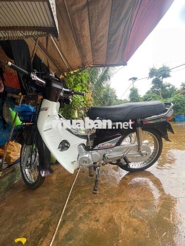 Honda Dream Nâu, Trắng Xe số