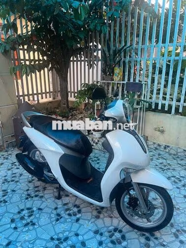 Yamaha Janus Trắng