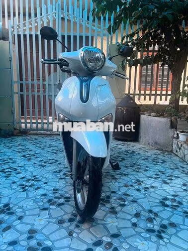 Yamaha Janus Trắng