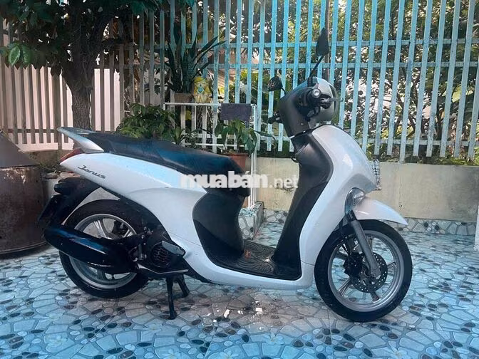 Yamaha Janus Trắng