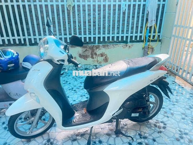 Yamaha Janus Trắng