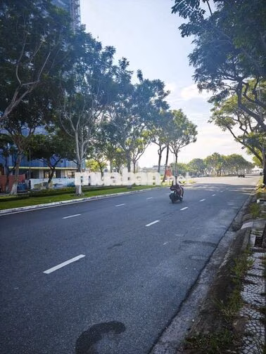 Đầu tư căn hộ Sơn Trà chỉ thanh toán 50% nhận nhà.