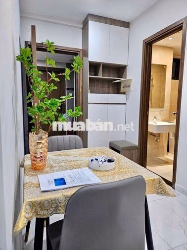 Thuê nhanh căn Studio 4tr2 ~2pn 5tr~ 3pn 6tr5 Opal Skyline Thuận An