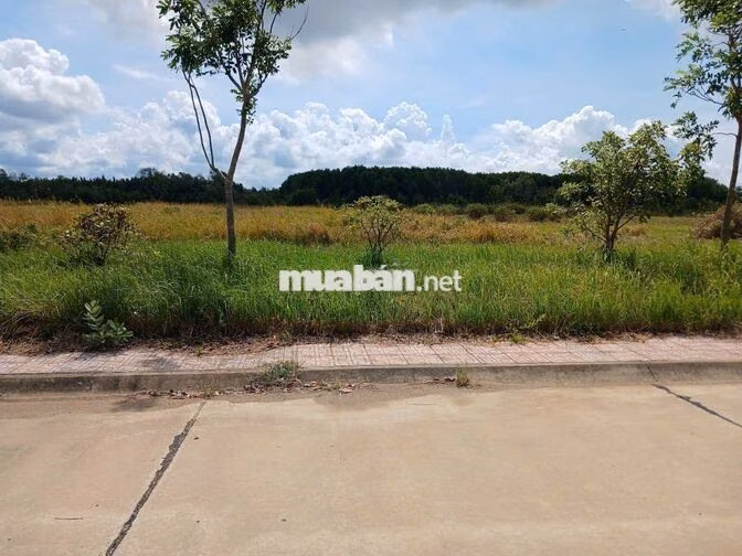 Bán đất cụm Công nghiệp Gia Thuận 2 diện tích từ 38.000m trở lên
