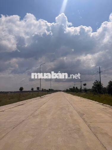 Bán đất cụm Công nghiệp Gia Thuận 2 diện tích từ 38.000m trở lên