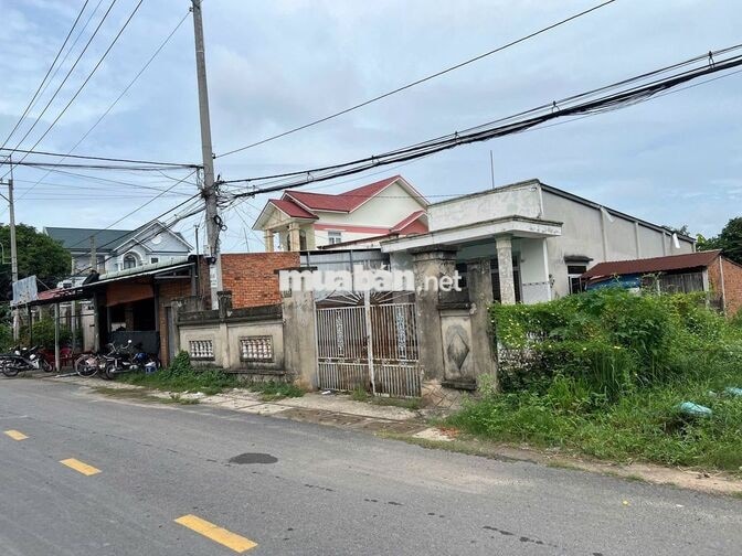 Bán 300m2 đất giá 750tr. Đ. An Bình cách KCN Trảng Bàng chỉ 500m. SHR