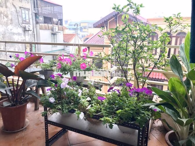 CHO THUÊ PHÒNG TẠI 132 CẦU GIẤY - KHÔNG GIAN SỐNG CHỈN CHU VÀ VĂN MINH