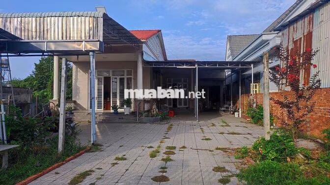 CHÍNH CHỦ BÁN NHÀ ĐẤT MẶT TIỀN ĐT784 – CẦU KHỞI, TÂY NINH