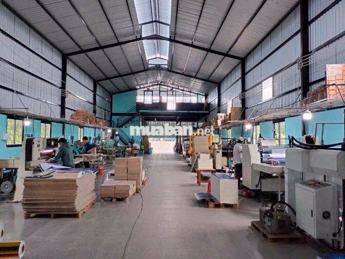 NHÀ XƯỞNG TÂN PHƯỚC - TIỀN GIANG