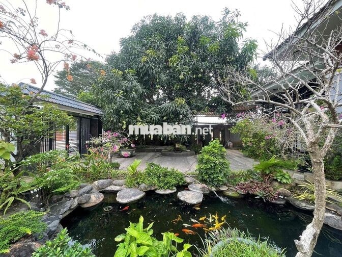 🌿 CHO THUÊ VILLA SÂN VƯỜN RỘNG 300M² – GẦN CẦU KHUÊ ĐÔNG