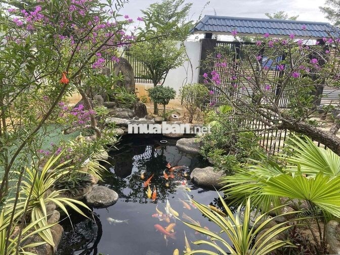 🌿 CHO THUÊ VILLA SÂN VƯỜN RỘNG 300M² – GẦN CẦU KHUÊ ĐÔNG